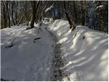 Stara Vrhnika - Koča na Planini nad Vrhniko